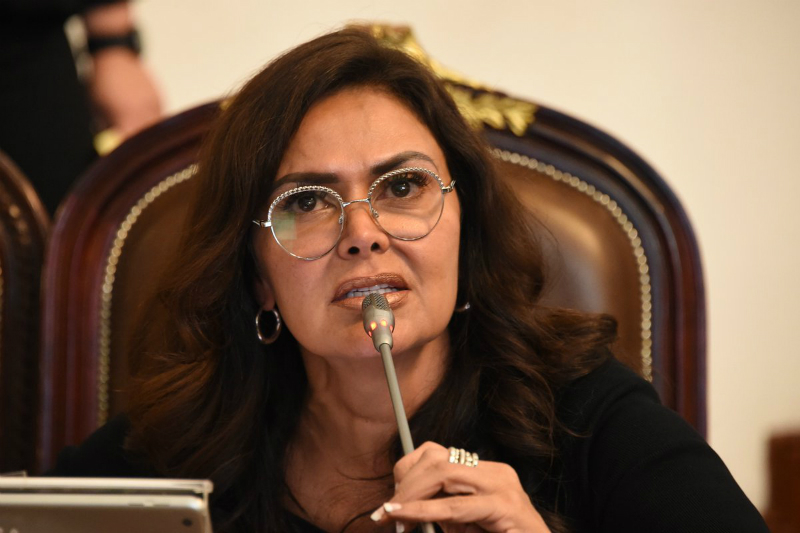 Candidata Lety Varela impulsó una ley que atentaba contra la protección y el cuidado de los animales en la CDMX